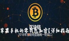 如何给苹果手机的零钱包加密?详细指南与技巧