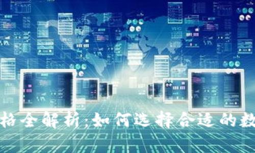 数字加密钱包价格全解析:如何选择合适的数字资产保护方案