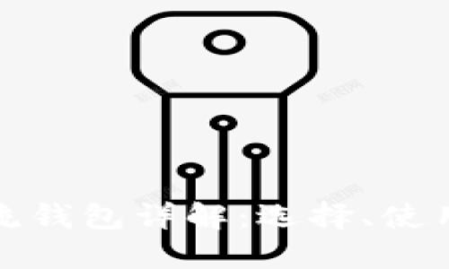 : 区块链主流钱包详解：选择、使用与安全指南