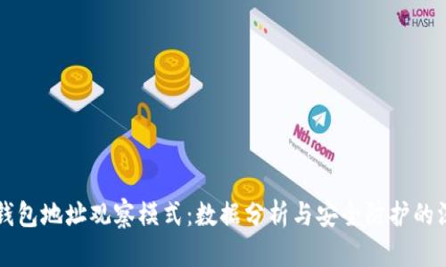区块链钱包地址观察模式:数据分析与安全防护的深度解读