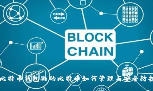 比特币钱包内的比特币如何管理与安全防护