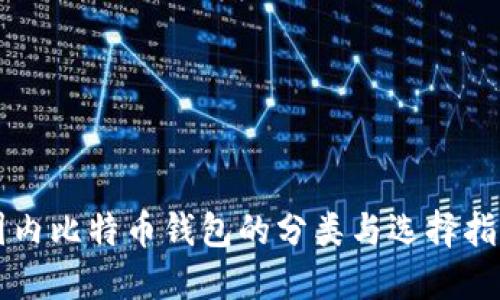 国内比特币钱包的分类与选择指南