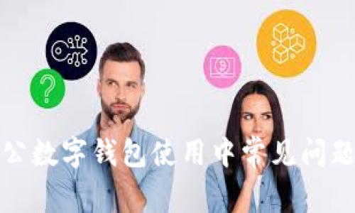 全面解析对公数字钱包使用中常见问题及解决方案