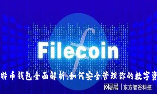 比特币钱包全面解析:如何安全管理你的数字资产