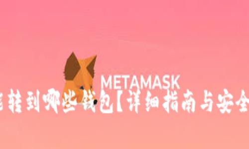 USDT能转到哪些钱包?详细指南与安全性分析