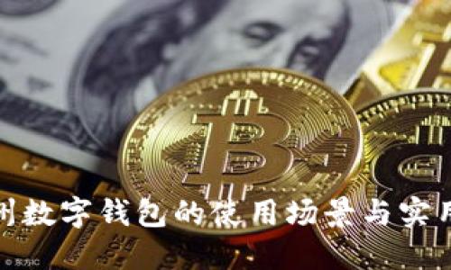 : 温州数字钱包的使用场景与实用指南