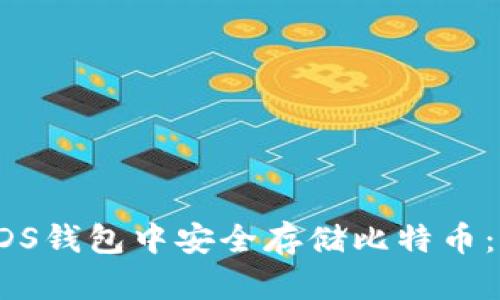 如何在VDS钱包中安全存储比特币:详尽指南