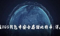 如何在VDS钱包中安全存储比特币:详尽指南
