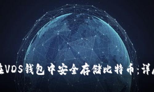 如何在VDS钱包中安全存储比特币:详尽指南