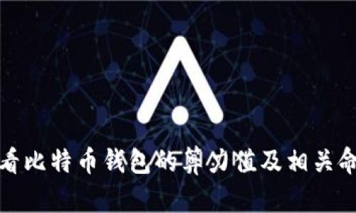 如何查看比特币钱包的算力值及相关命令详解