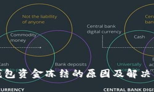 数字币钱包资金冻结的原因及解决方案详解