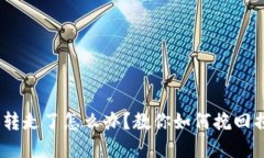 USDT钱包被人转走了怎么办？教你如何挽回损失与