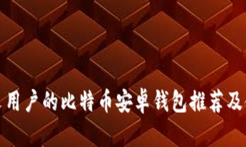 适合中文用户的比特币安卓钱包推荐及使用指南