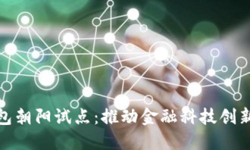 数字钱包朝阳试点:推动金融科技创新与普及