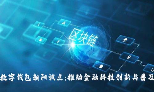 数字钱包朝阳试点:推动金融科技创新与普及