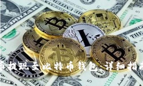 如何将莱特币提现至比特币钱包:详细指南与注意事项