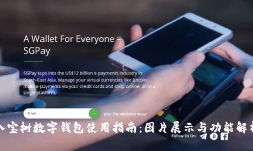 八宝树数字钱包使用指南:图片展示与功能解析