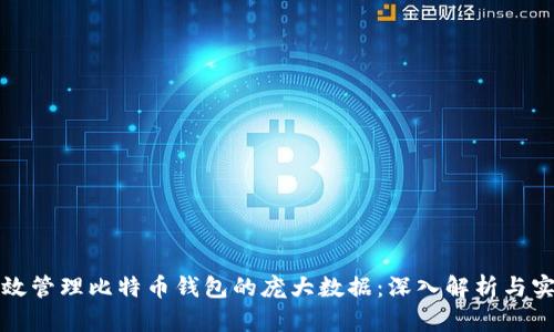 如何有效管理比特币钱包的庞大数据:深入解析与实用技巧