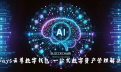 Winpays云尊数字钱包:一站式数字资产管理解决方