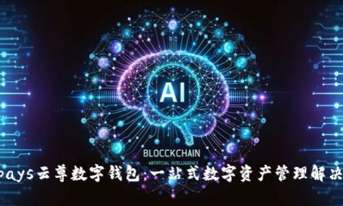 Winpays云尊数字钱包:一站式数字资产管理解决方案