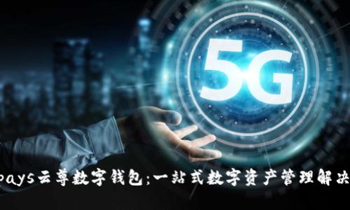Winpays云尊数字钱包:一站式数字资产管理解决方案