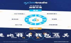 全面解析:什么是比特币钱包及其类型与选择指
