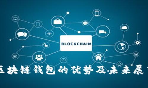 区块链钱包的优势及未来展望