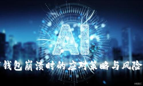 数字钱包崩溃时的应对策略与风险管理