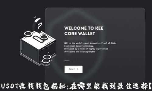 USDT收钱钱包揭秘:在哪里能找到最佳选择?