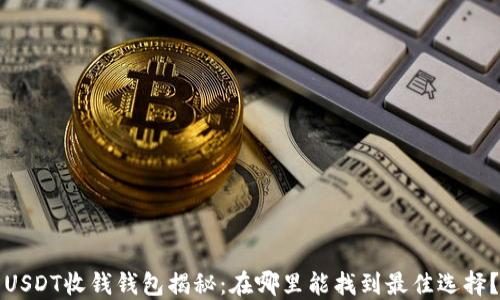 USDT收钱钱包揭秘:在哪里能找到最佳选择?