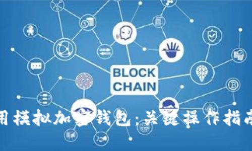 如何安全使用模拟加密钱包:关键操作指南与安全策略