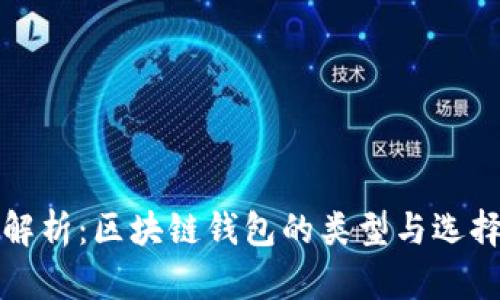 全面解析:区块链钱包的类型与选择指南