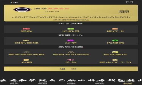 如何查看和管理自己的比特币钱包转出记录