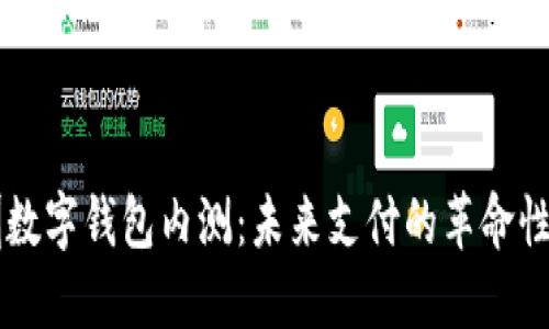 深圳数字钱包内测:未来支付的革命性变革