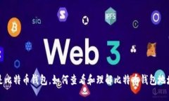 什么是比特币钱包,如何查看和理解比特币钱包