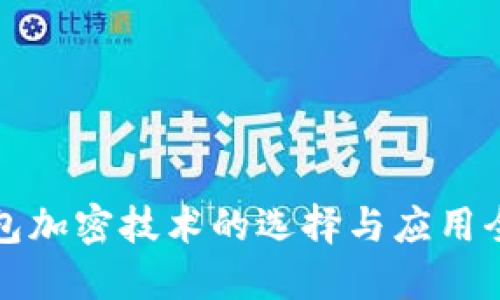 数字钱包加密技术的选择与应用全面指南