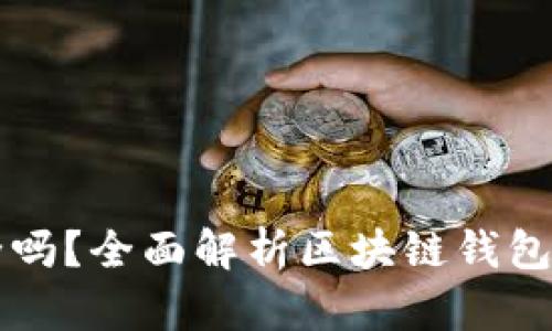 区块链上的钱包安全吗?全面解析区块链钱包的安全性与风险管理