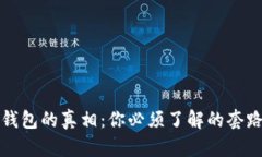 区块链钱包的真相:你必须了解的套路与风险