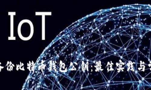 : 如何安全备份比特币钱包公钥:最佳实践与常见问题解答