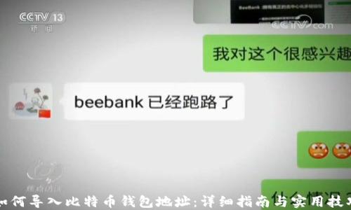 
如何导入比特币钱包地址：详细指南与实用技巧
