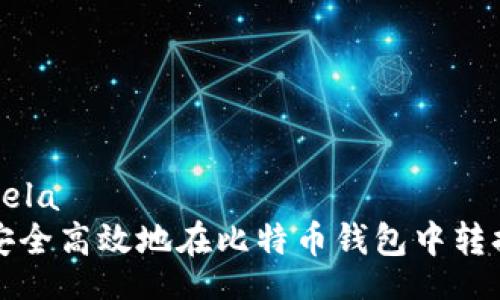 lela/lela
如何安全高效地在比特币钱包中转换密钥