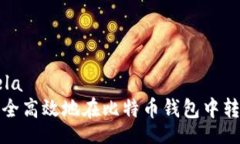 lela/lela如何安全高效地在比特币钱包中转换密钥