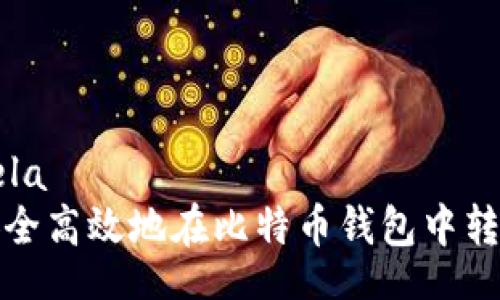 lela/lela
如何安全高效地在比特币钱包中转换密钥