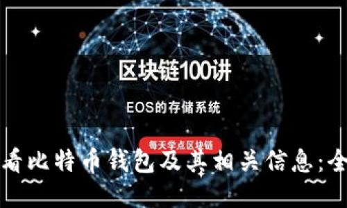 如何查看比特币钱包及其相关信息:全面指南