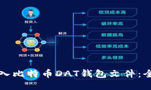 如何导入比特币DAT钱包文件:全面指南