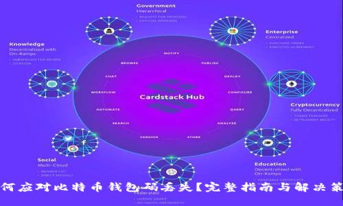 如何应对比特币钱包码丢失?完整指南与解决策略