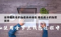 biao ti比特币全节点钱包服务器的深度分析与应用