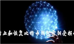 如何防止和恢复比特币钱包密钥受损的策略