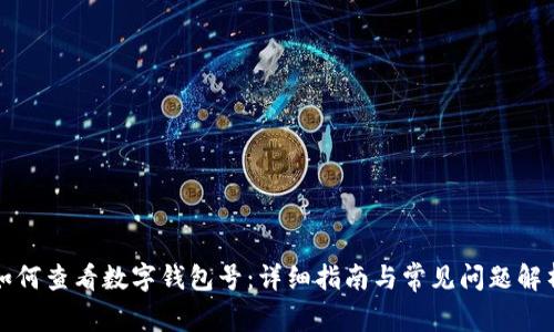 如何查看数字钱包号：详细指南与常见问题解析