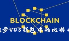 如何高效同步VDS钱包中的比特币：全面指南